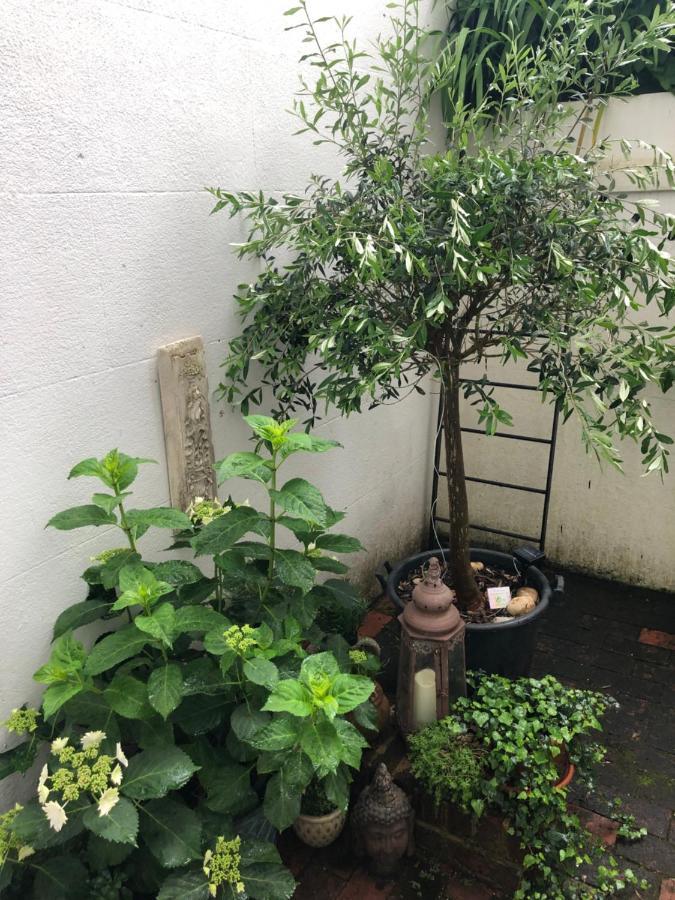 Olive Tree Apartment Hove Bagian luar foto