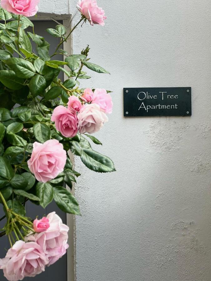 Olive Tree Apartment Hove Bagian luar foto